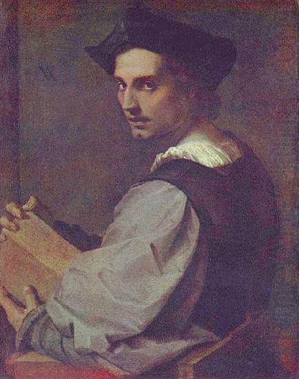 Andrea del Sarto Portrat eines jungen Mannes oil painting picture